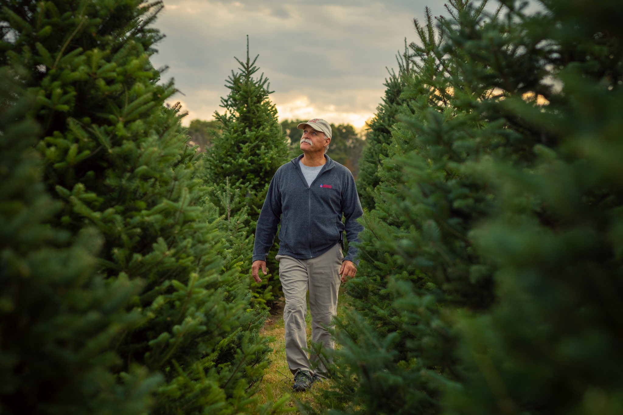 Pick the Perfect Christmas Tree! CT Grown
