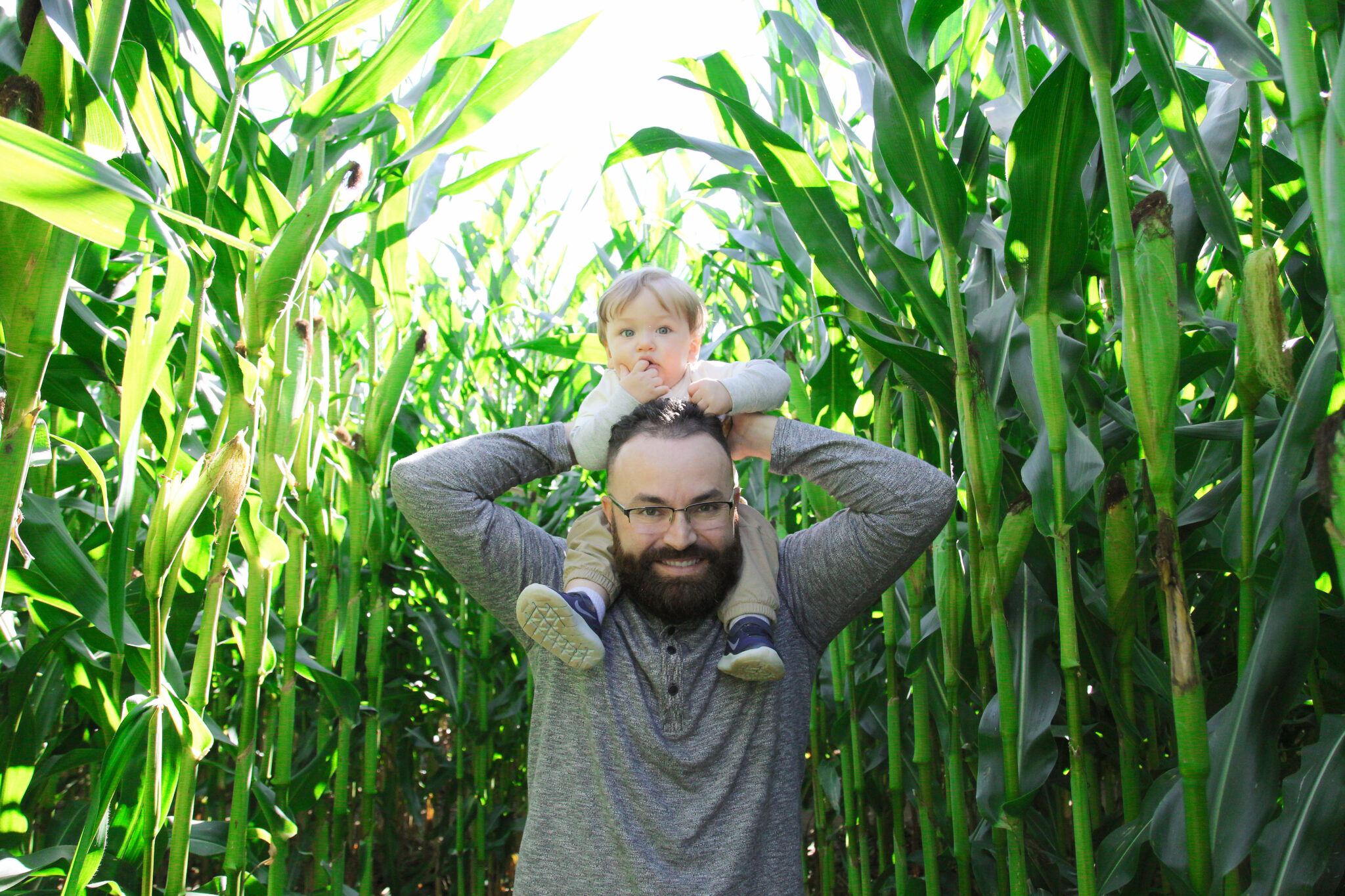 Find Yourself While Getting Lost in the Corn Mazes of CT Grown CT Grown