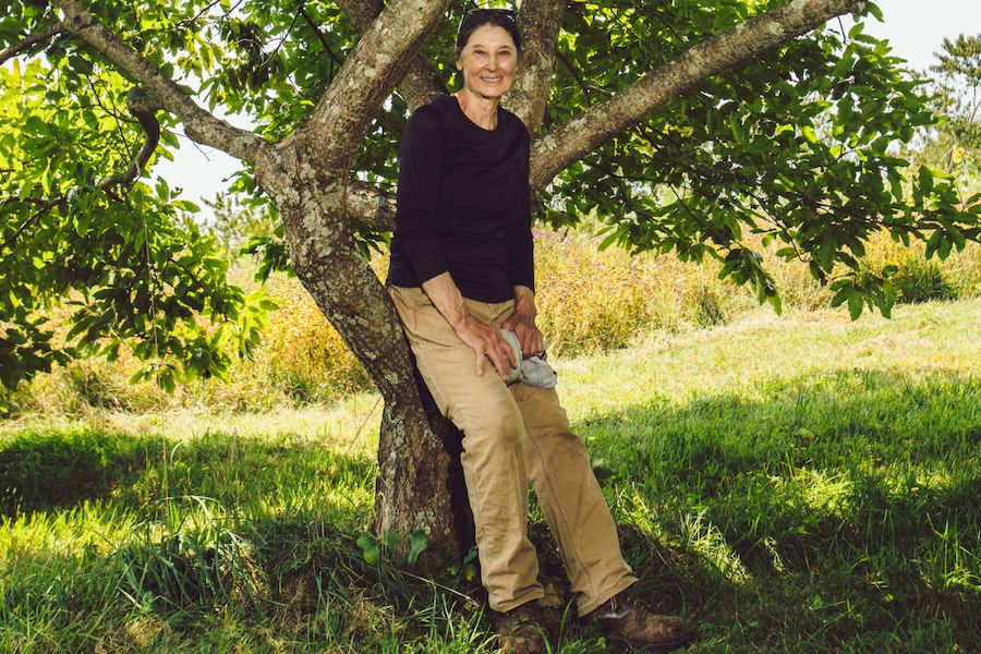 Meet the Farmers: Norfolk’s Autumn Harvest Orchard